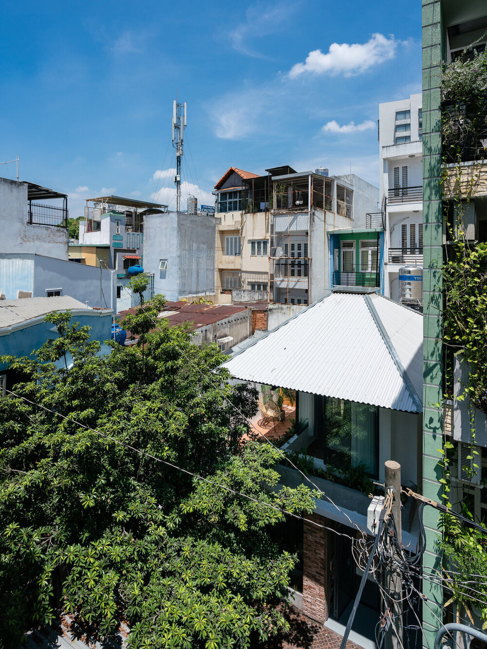 The UMBRELLA thumbnail