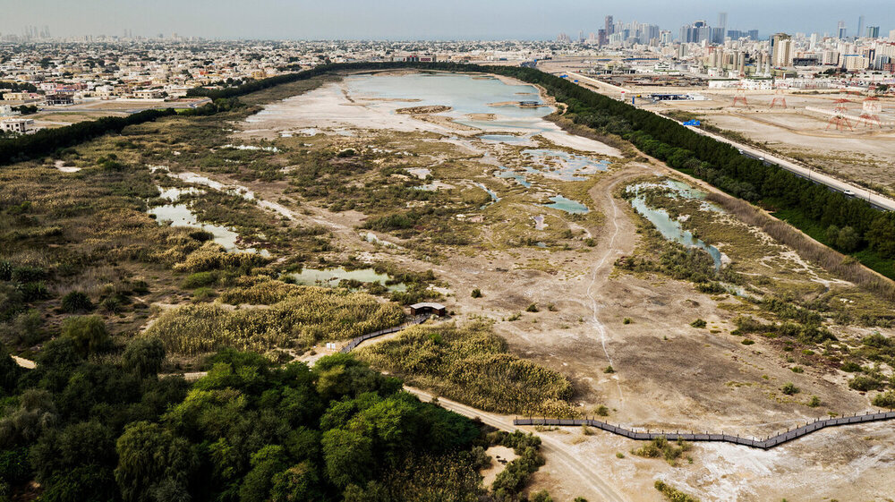 Wasit Natural Reserve Visitor Center thumbnail