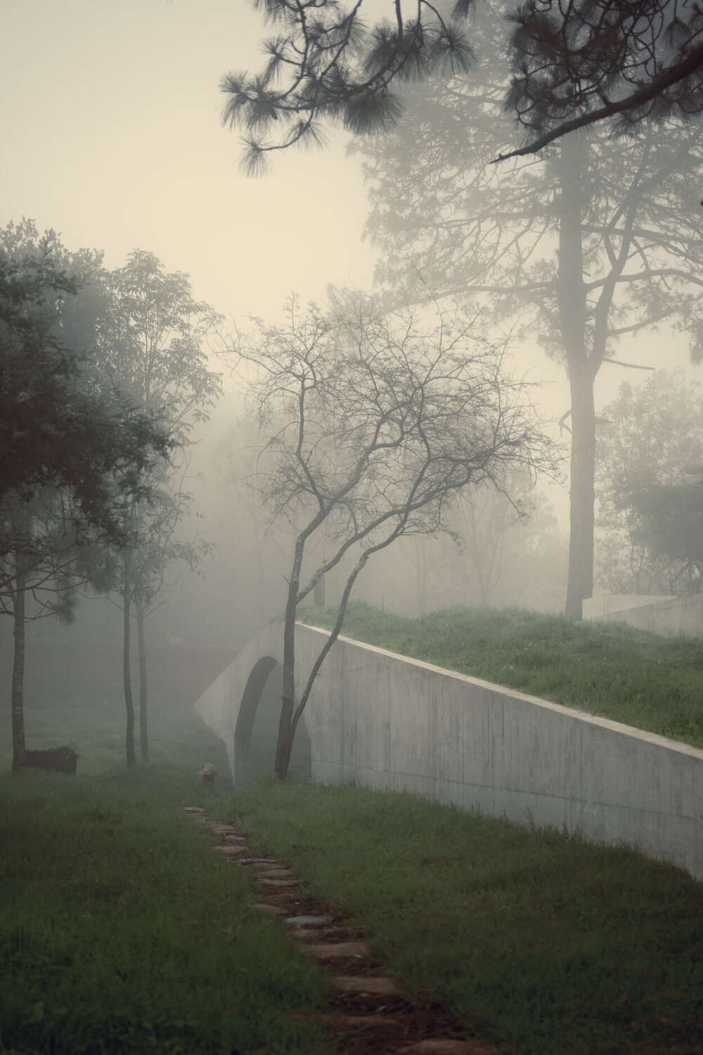 The hill in front of the glen thumbnail