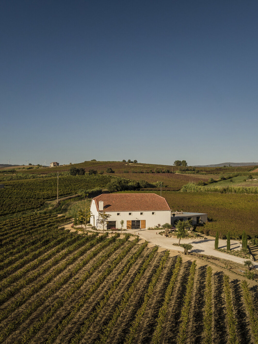 Wine tourism apartments . Cas’Amaro thumbnail