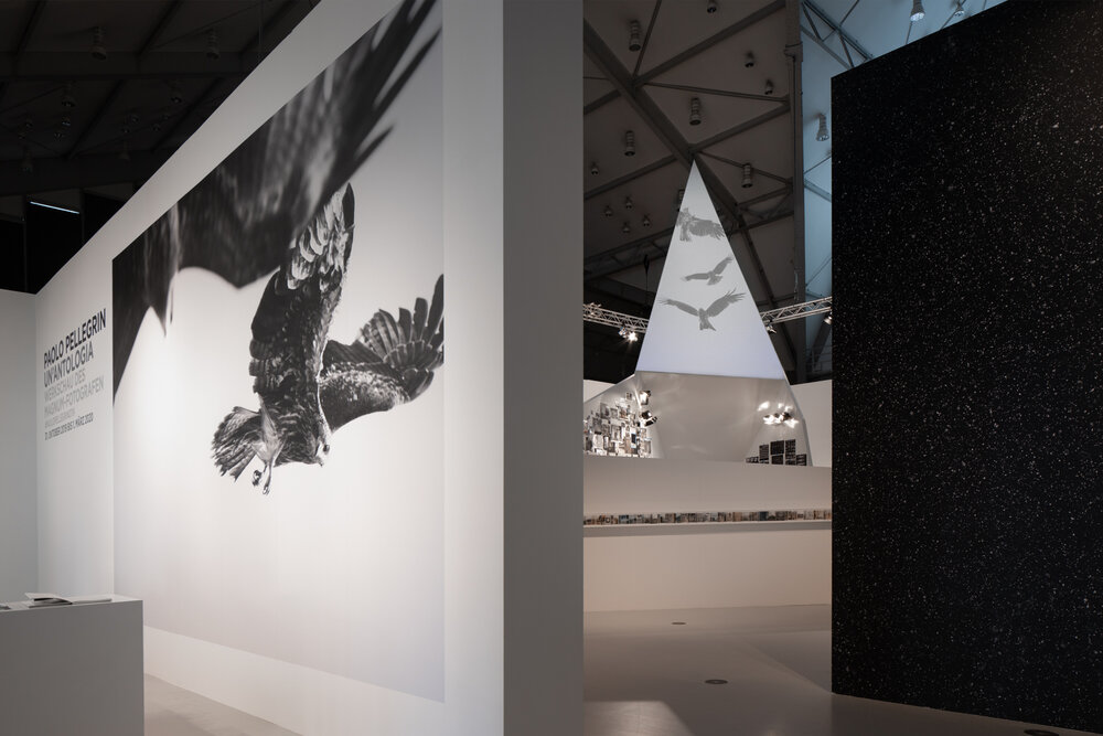 Paolo Pellegrin. An Anthology - Deichtorallen Hamburg thumbnail