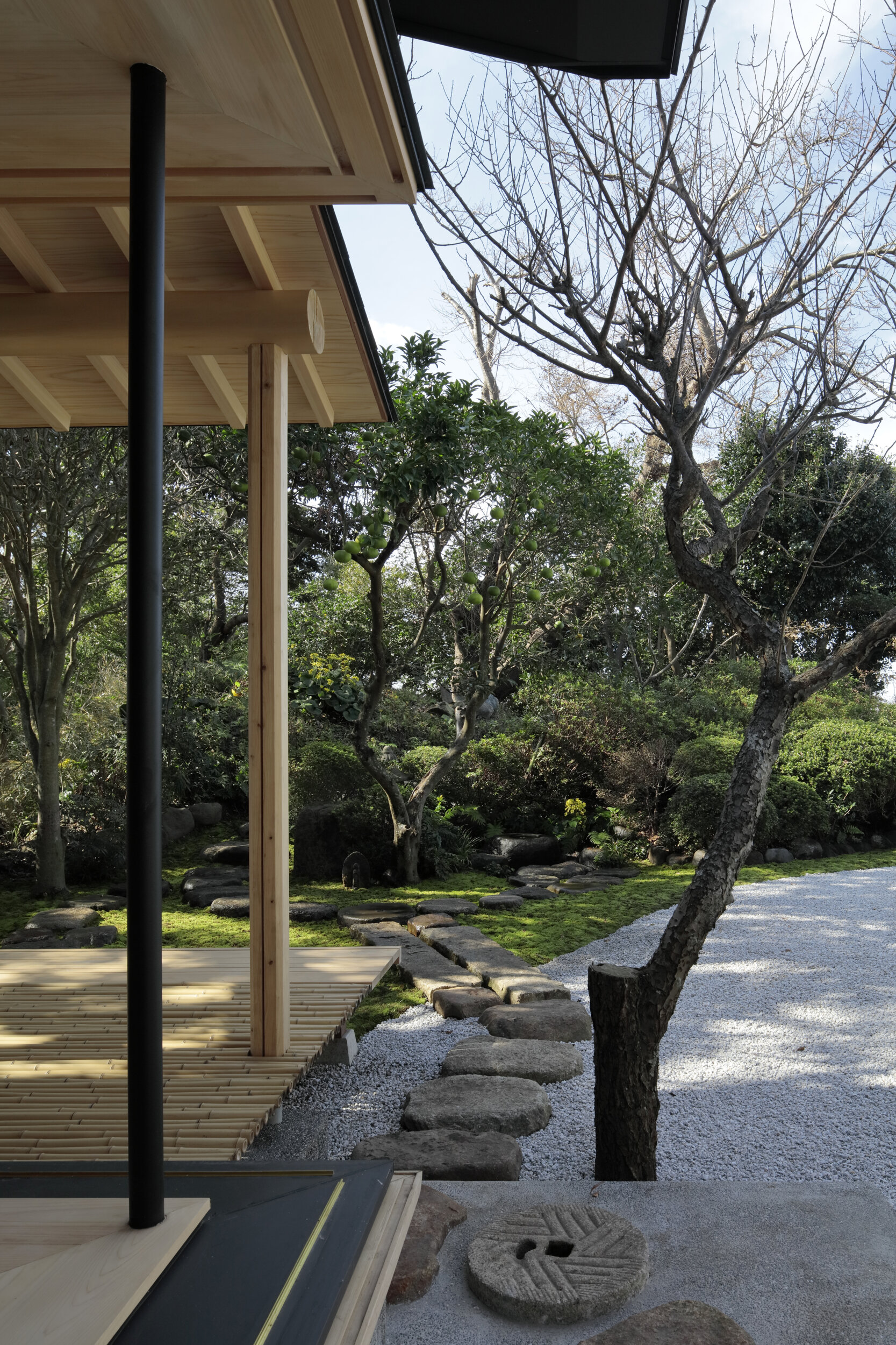 T3 / HITOSHI SARUTA / Image ID: 11433